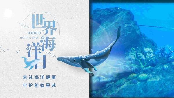 世界海洋日|香蕉视频网站在线观看為你勾勒心中那片海